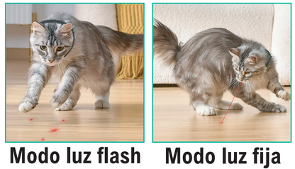 Collar de juego láser para mascotas